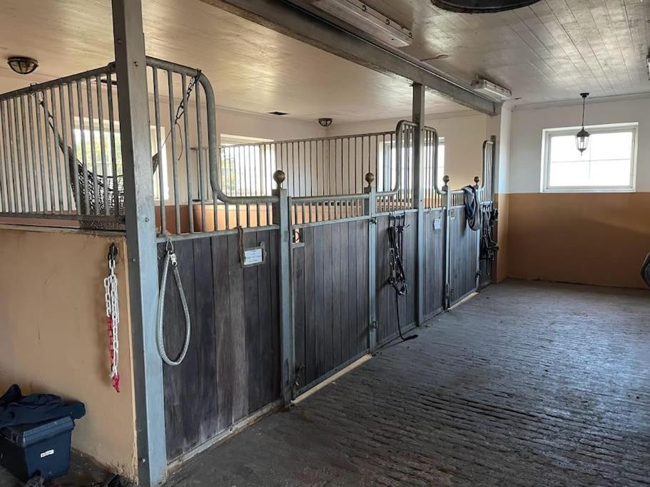 New And Cosy Apartment On A Farm Кунгсбака Екстериор снимка