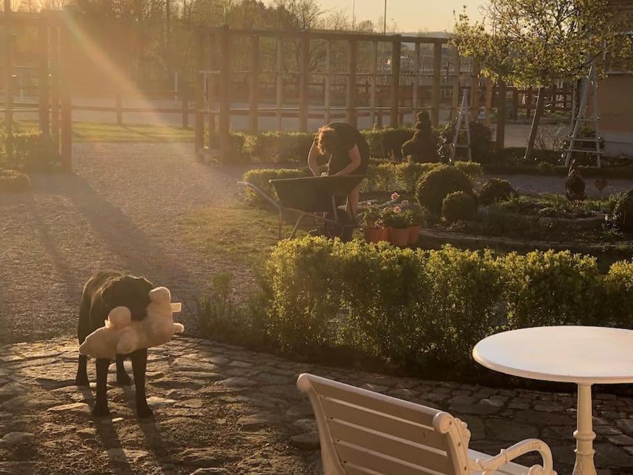 New And Cosy Apartment On A Farm Кунгсбака Екстериор снимка